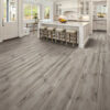 Blu Sky Flooring Luxury Vinyl Plank, LVP, NextFloor, Flooring Store in The Villages