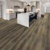 Blu Sky Flooring Luxury Vinyl Plank, LVP, NextFloor, Flooring Store in The Villages