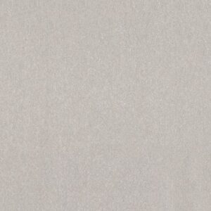 AG SPELLBOUND 12′ ANGEL WINGS 00117 00117