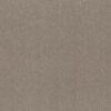 AG SPELLBOUND 12′ PLASTER 00121 00121