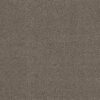 AG SYMPHONY FOSSIL 33501 33501