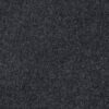 AG TIMELESS BLUEBERRY 00421 00421