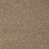 AG TIMELESS GEORGIA CLAY 00767 00767