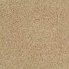 AG TIMELESS SHORE LAND 00125 00125