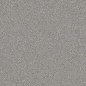AG TRUE DELIGHT I AUTUMN FOG 00528 00528