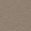 AG WHAT A DREAM 12 DESERT LIGHT 00134 00134