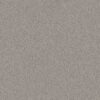 AG WHAT A DREAM 12 PASSIVE GREY 00528 00528