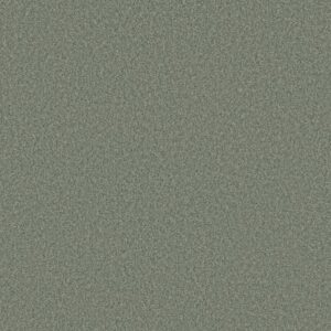 ag astounding BAY LEAF 00338 00338