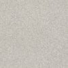 ag astounding STUCCO 00524 00524