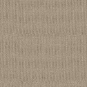 ag invigorating ASPEN 86107 86107