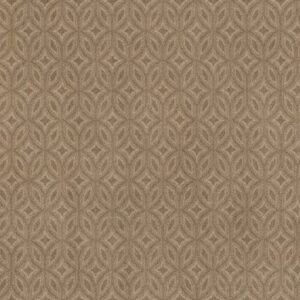 ag looking glass BAMBOO 70101 70101