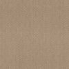ag vivid dream TOASTY 89202 89202