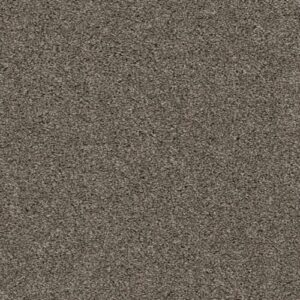 Cozy Ridge Bark CR22006