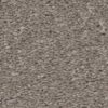Northern Line Molasses VA142702