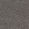 Southern Crescent Bark SC22006
