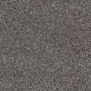 Southern Crescent Bark SC22006