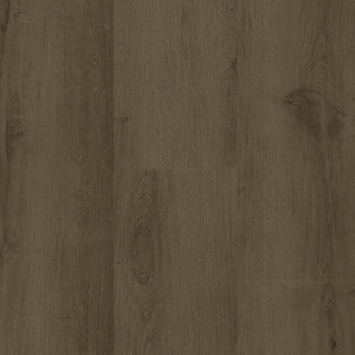Statesman Randolph SM0017