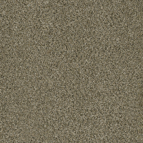 ACCLAIM Island Spice 307