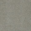 ACCLAIM Looking Glass 570