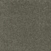 ACCLAIM Midnight Shadow 427