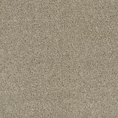 ACCLAIM Outback 298