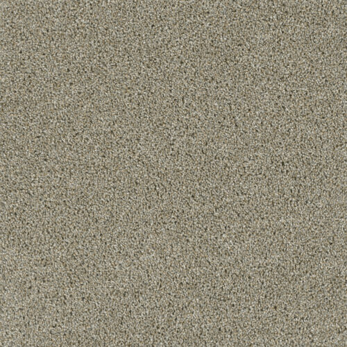 ACCLAIM Rhinestone 116