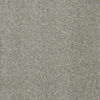 ACCLAIM Sandy Trail 495
