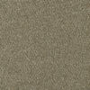 ACCLAIM Sienna Sand 680