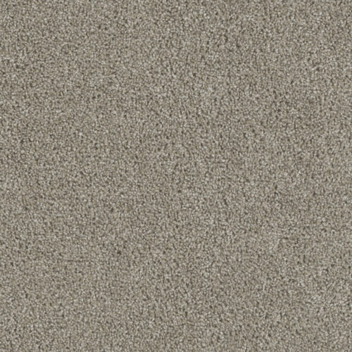 ACCLAIM Vela 164