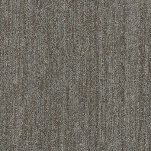BAJA Mesquite 2738