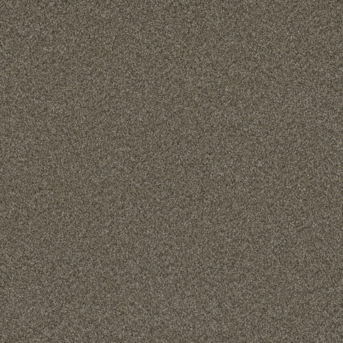 BLAZER III Fawn 6005