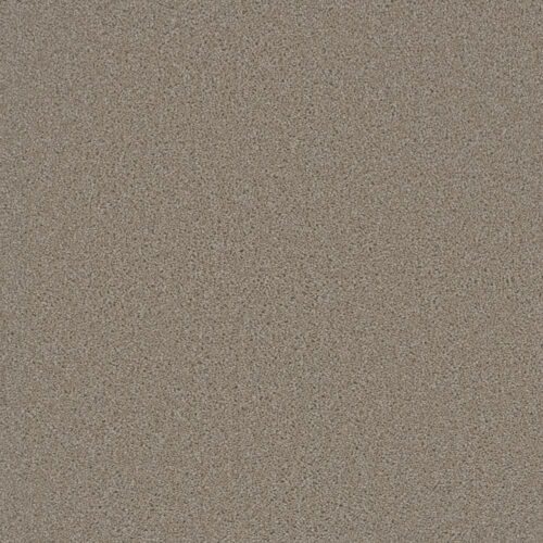BROADCAST Flax Beige 535