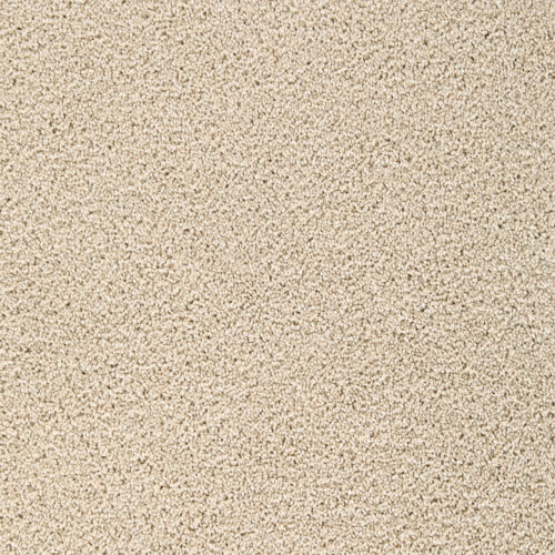 BROADCAST PLUS Cookie Dough 705