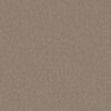 BROADCAST PLUS Flax Beige 535