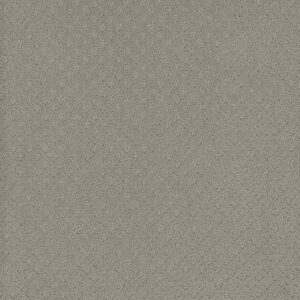CAPRI Arrowhead 6827