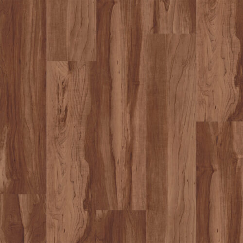 CASCADE Sugar Maple 0780