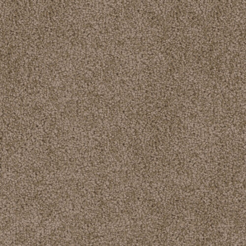 CEDAR CREEK Taupe 565