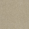 CLEAR SKIES III cream 580