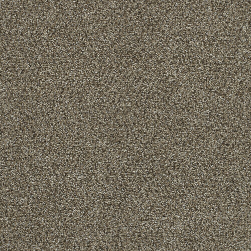 CLEARWATER III Dark Truffle 834