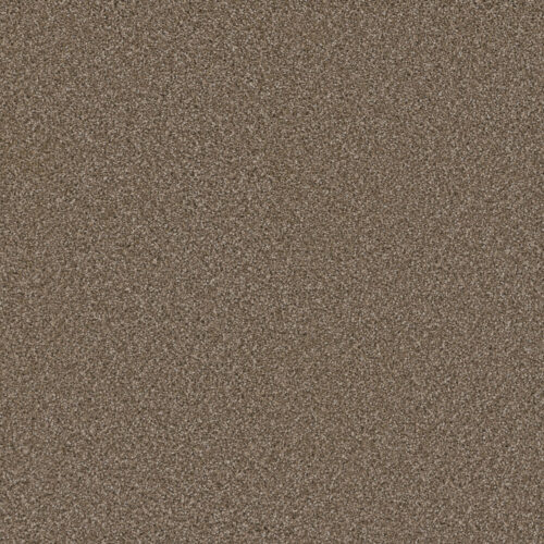 COSMOPOLITAN II Acorn 858