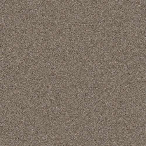 COSMOPOLITAN II Ash 945