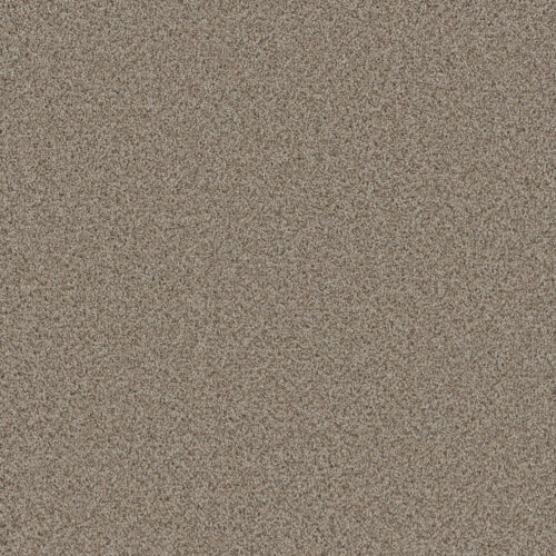 COSMOPOLITAN II Stucco 905