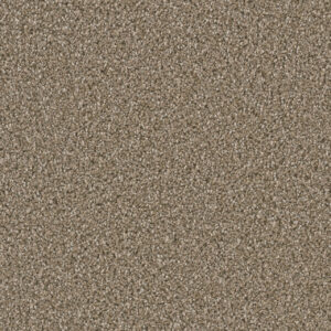 DAZZLING Acorn 858