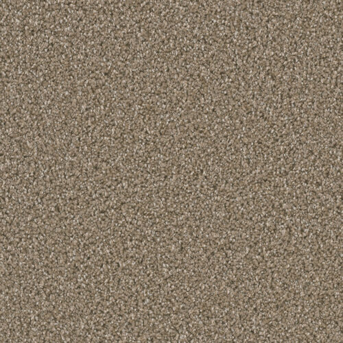 DAZZLING Acorn 858