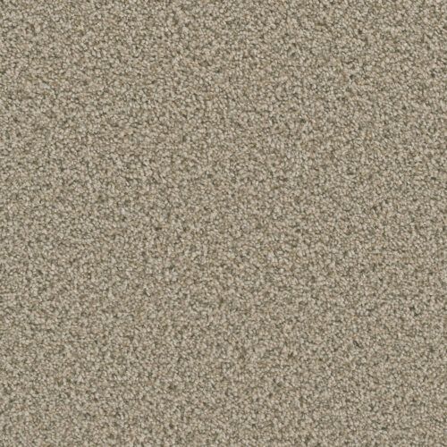 DAZZLING Linen 824