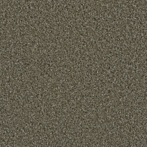 DAZZLING Peppercorn 753