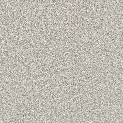 DAZZLING Porcelain 486