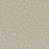 DAZZLING Seashells 758