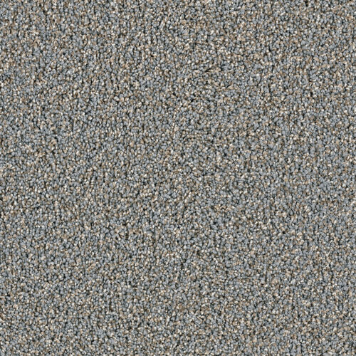 DAZZLING Shadows 826