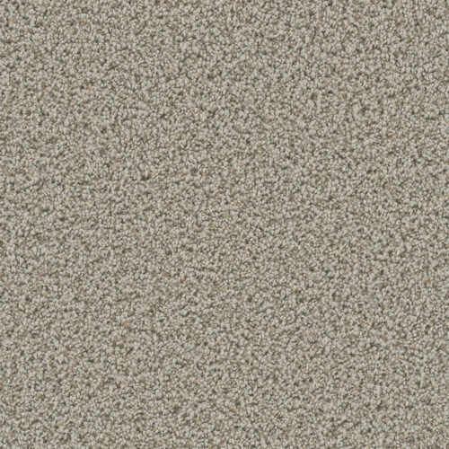 DAZZLING Stucco 905